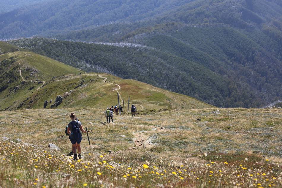 Mt Bogong Conquestathon