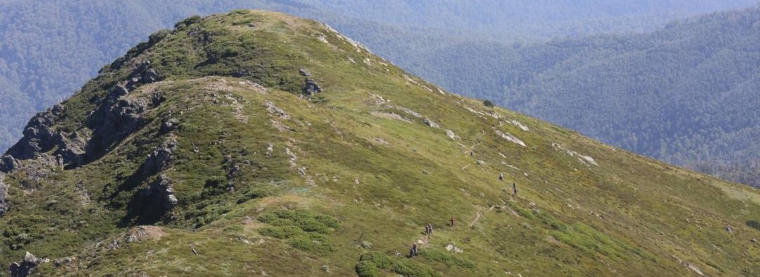 Mount Bogong conquestathon